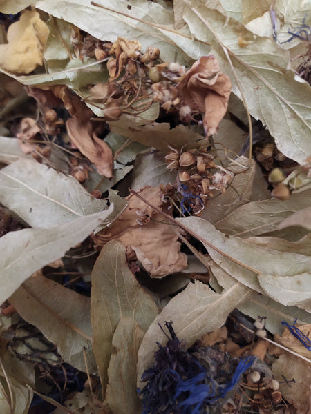 Tisane Lune Noire du Corbeau  30 grammes